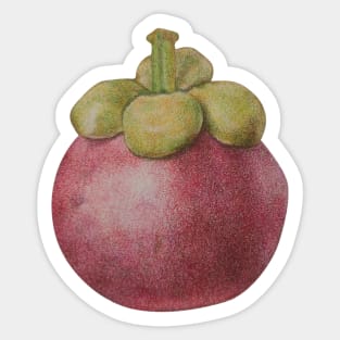 Cute Mangosteen fruit, Thai fruit Sticker